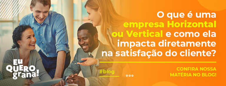 O que é uma empresa Horizontal ou Vertical e como ela impacta diretamente na satisfação do cliente?